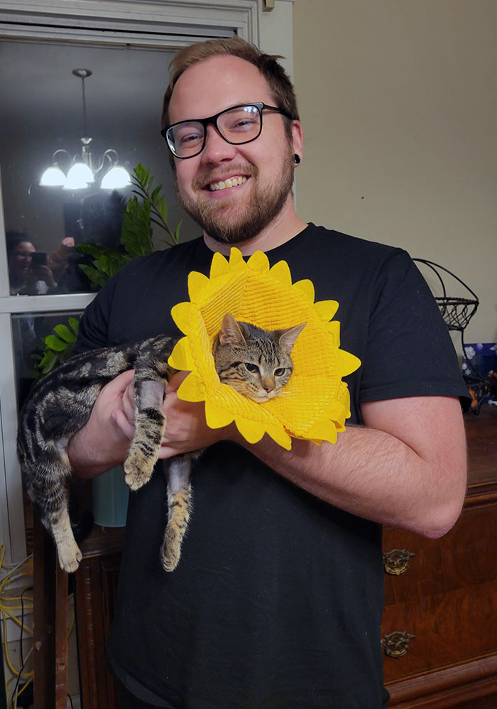 Notre chaton a été stérilisé et ma femme lui a acheté un cône de tournesol.