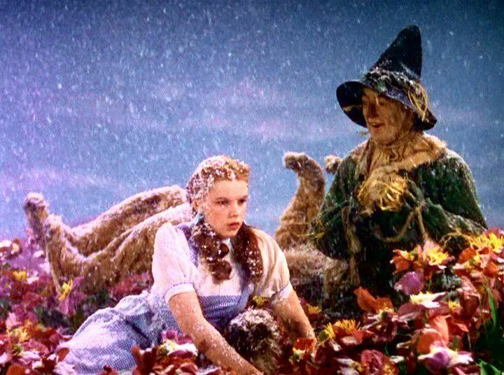 La “neige” dans le film Le Magicien d’Oz était de l’amiante pur à 100 %.