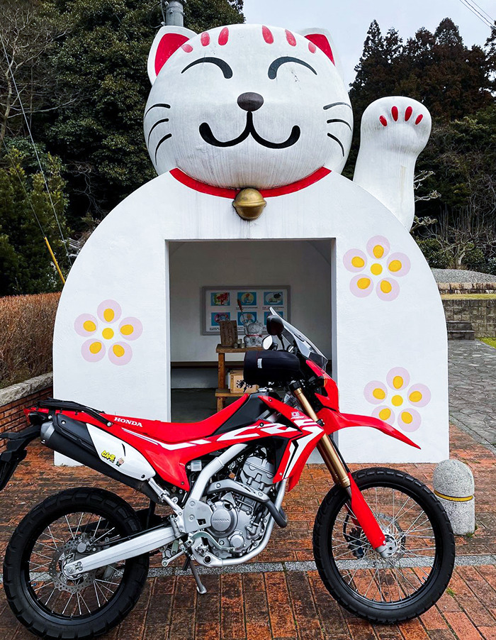 arrêt de bus pour chats, Japon