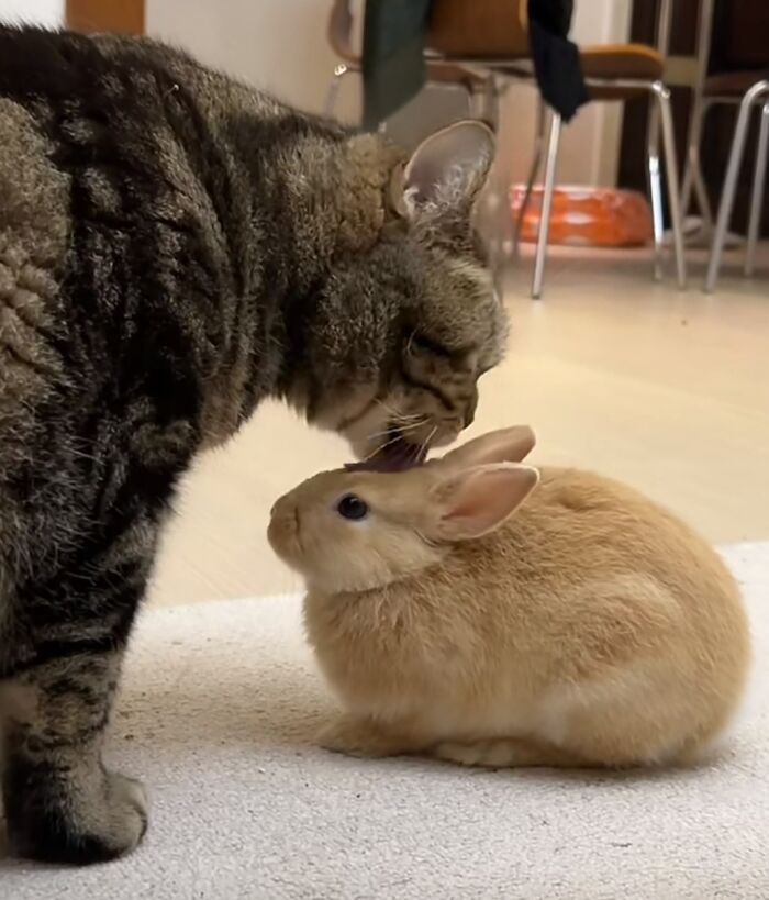 Ils semblent être amoureux tous les deux