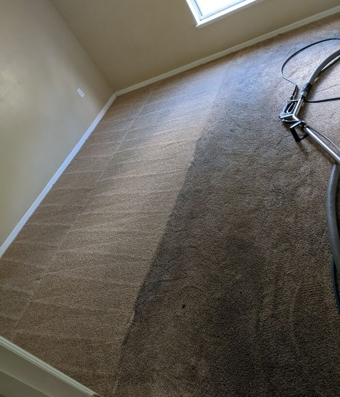Je fais du nettoyage de tapis pour vivre et j’adore mon travail.