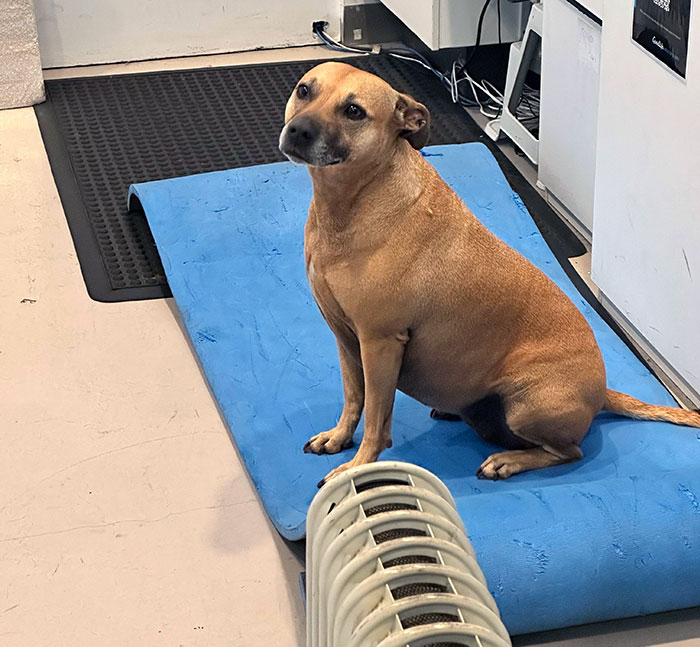 Cette bonne fille s’est promenée dans ma salle de sport ce matin.