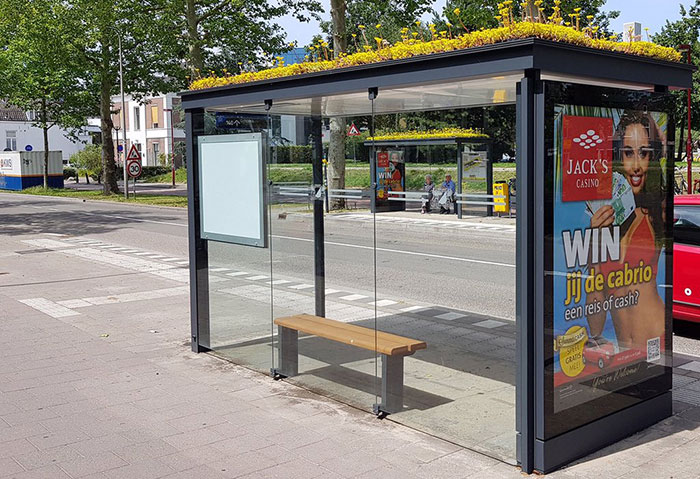 Les villes néerlandaises ont réussi à stabiliser les populations d’abeilles urbaines en transformant les arrêts de bus en “arrêts de buzz”