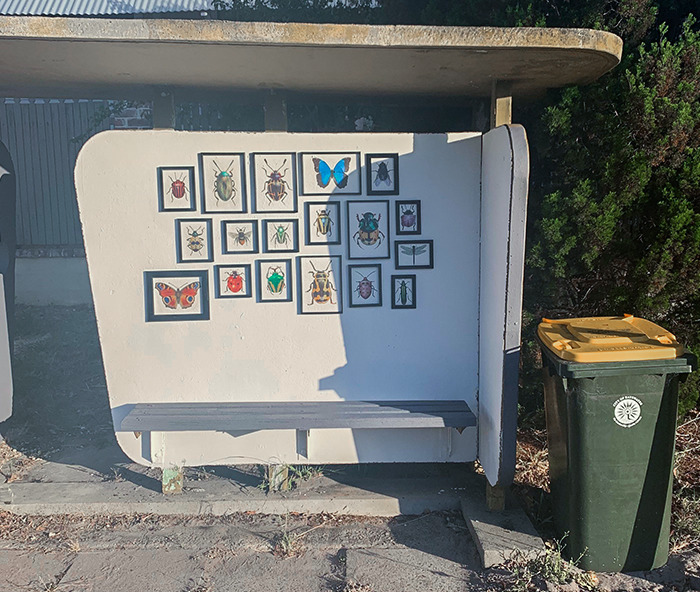 Mon voisin redessine chaque année l’arrêt de bus de notre rue. western australia