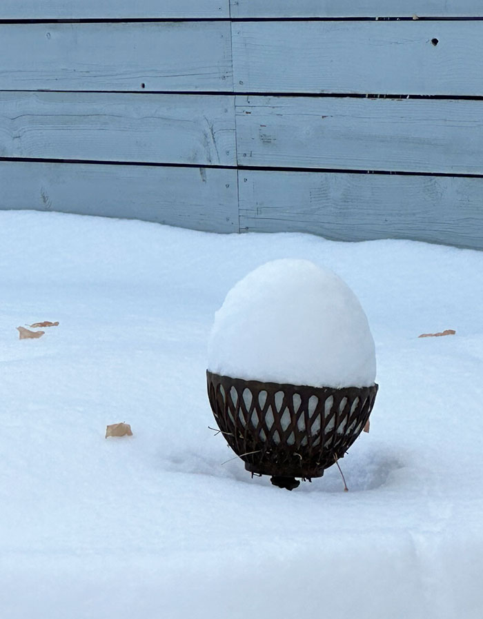 La chute de neige sur cette jardinière vide ressemble à un coquetier parfait.