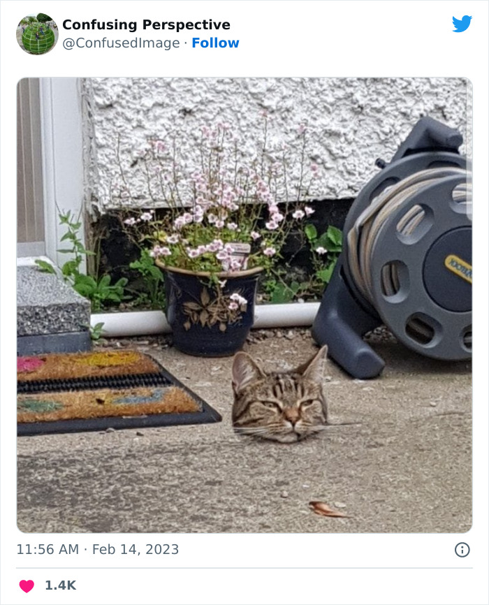 109 photos sérieusement déroutantes qui doivent être regardées deux fois pour comprendre ce qui se passe, comme partagé sur cette page twitter.