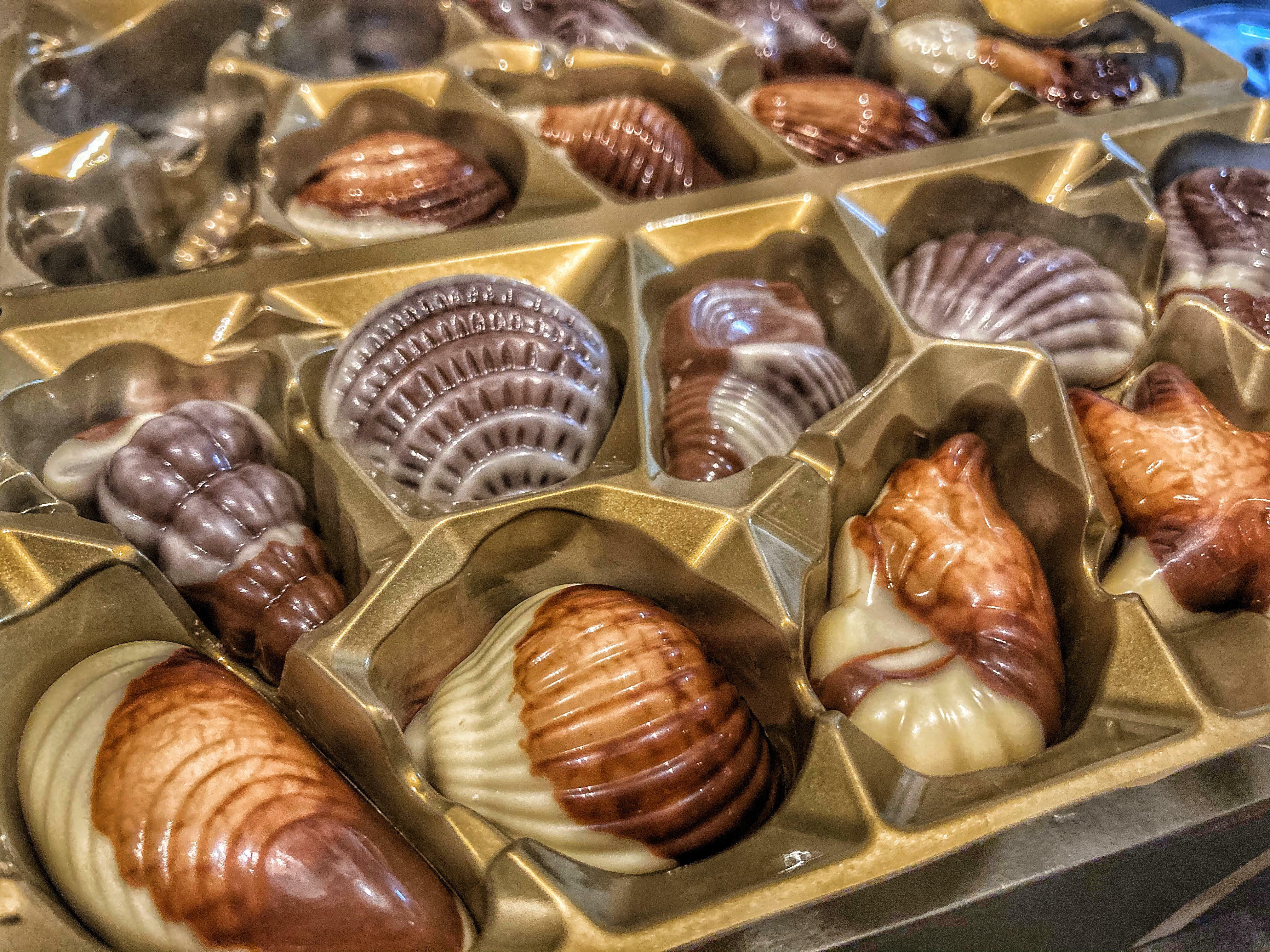 avoir des coquillages au chocolat belge