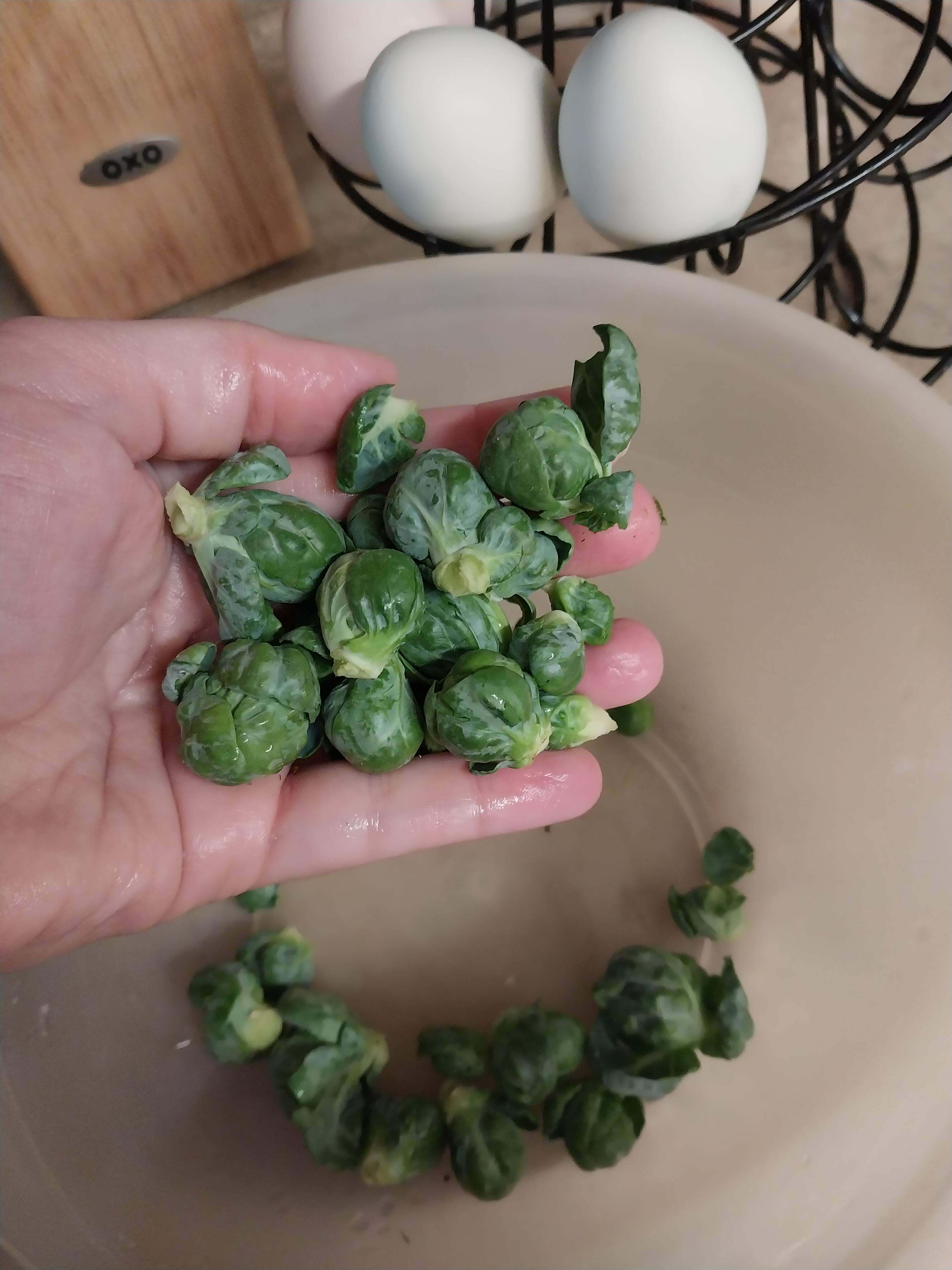 Dieu soit loué ! Ces choux de Bruxelles nous garderont en bonne santé tout le printemps !