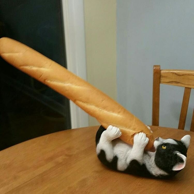 95 photos hilarantes de “baguettes dans des endroits inhabituels”, partagées par ce compte instagram.