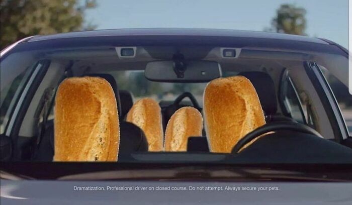 95 photos hilarantes de “baguettes dans des endroits inhabituels”, partagées par ce compte instagram.