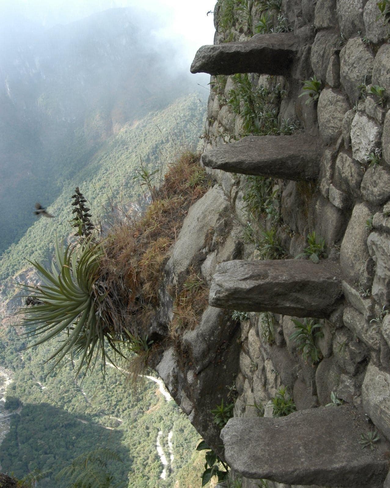 Les “escaliers de la mort” sont une section de marches en pierre construites par les incas, qui mènent au sommet du huayna picchu, au Pérou, qui est l’une des montagnes escarpées qui surplombent machu picchu.