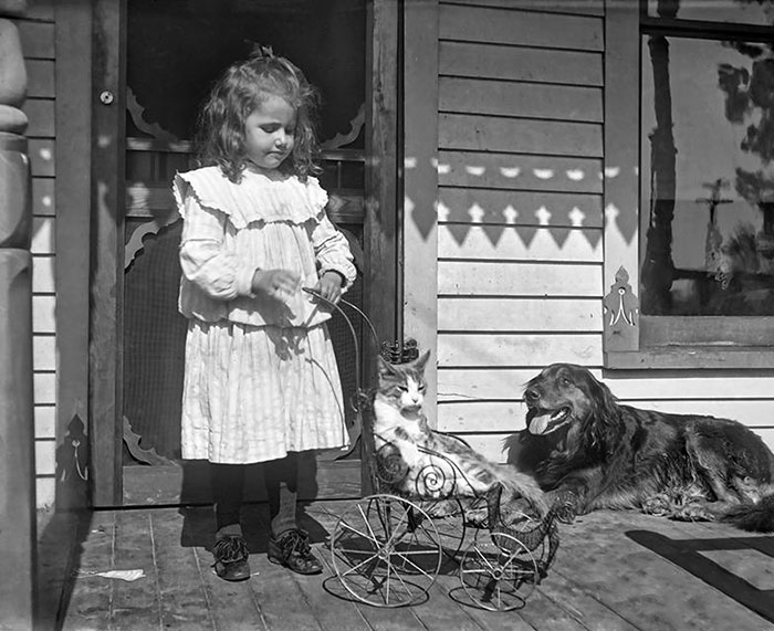 Cette photo a été prise à Cleveland, Ohio, vers le début des années 1900. Un enfant mignon, un chien et un chat qui sait qu’il est le chef.