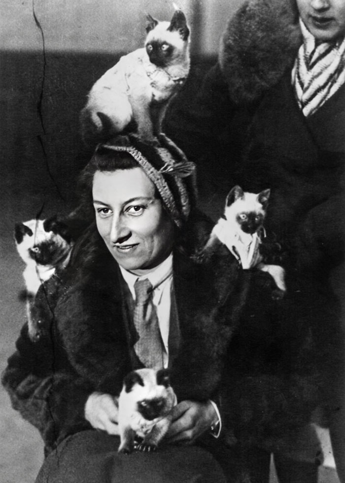 Mlle C. Bateman avec sa petite famille de chats siamois, à l’exposition féline de Crystal Palace.