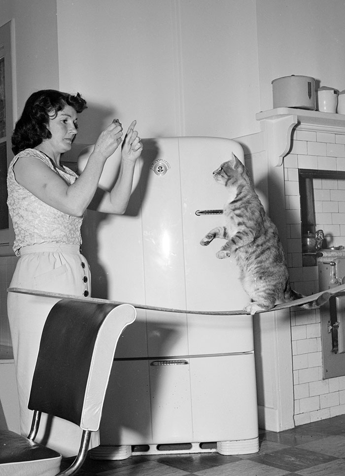 “Show Off” Cat. Avril 1955