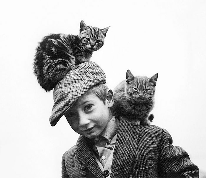 Dan Flynn et ses chats, parc de Labre, 1967