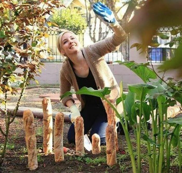 95 photos hilarantes de “baguettes dans des endroits inhabituels”, partagées par ce compte instagram.