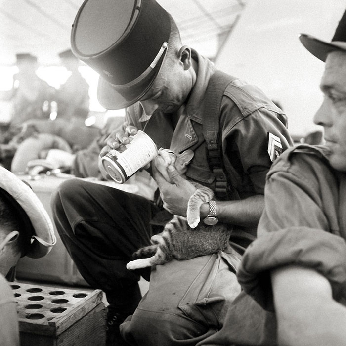 Un soldat français nourrit son chaton, Indochine 1956