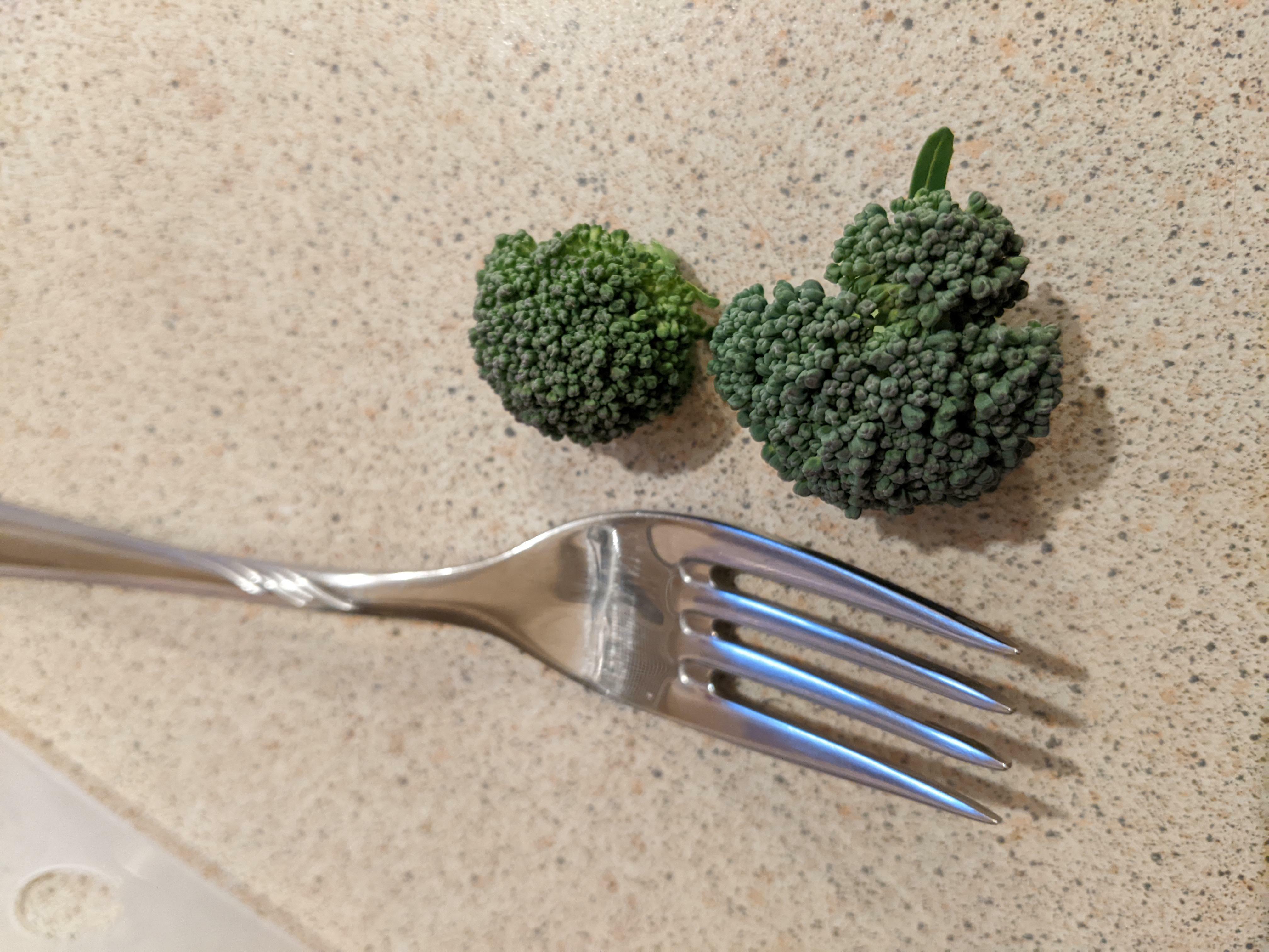 têtes de brocoli en petits morceaux