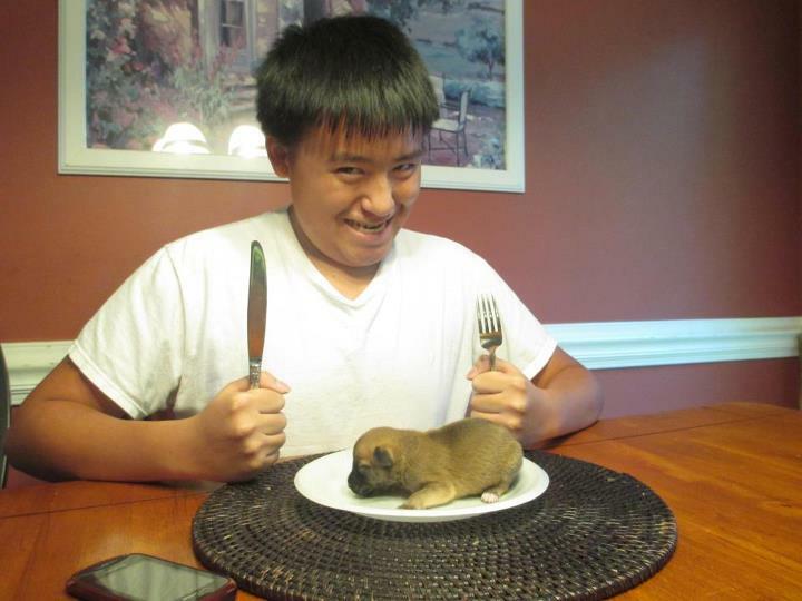 chien délicieux