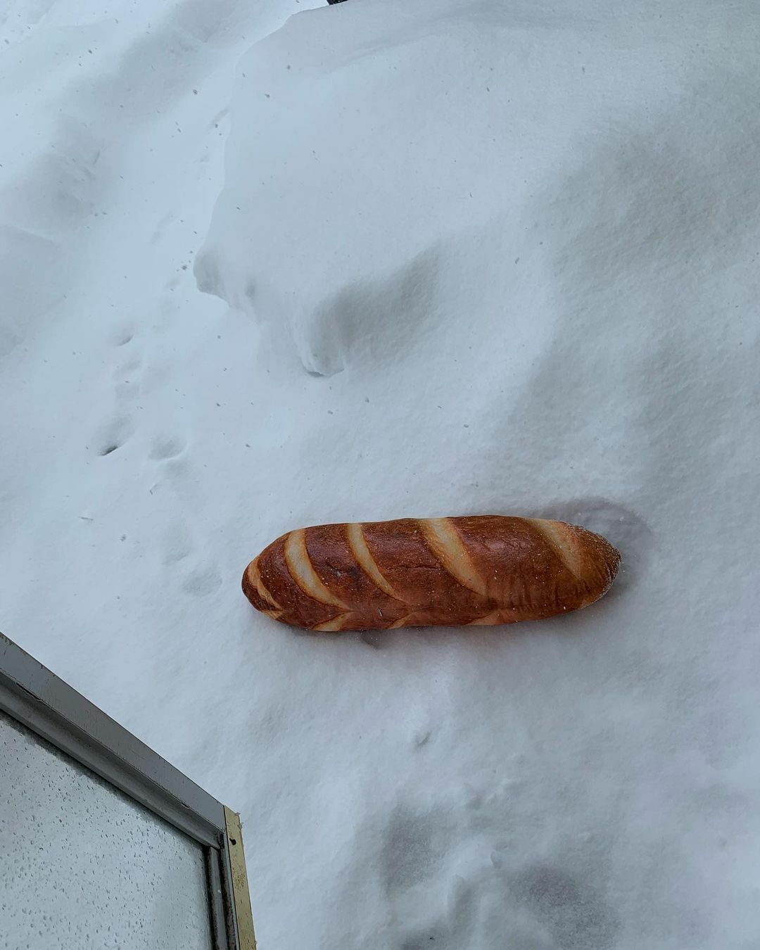 95 photos hilarantes de “baguettes dans des endroits inhabituels”, partagées par ce compte instagram.