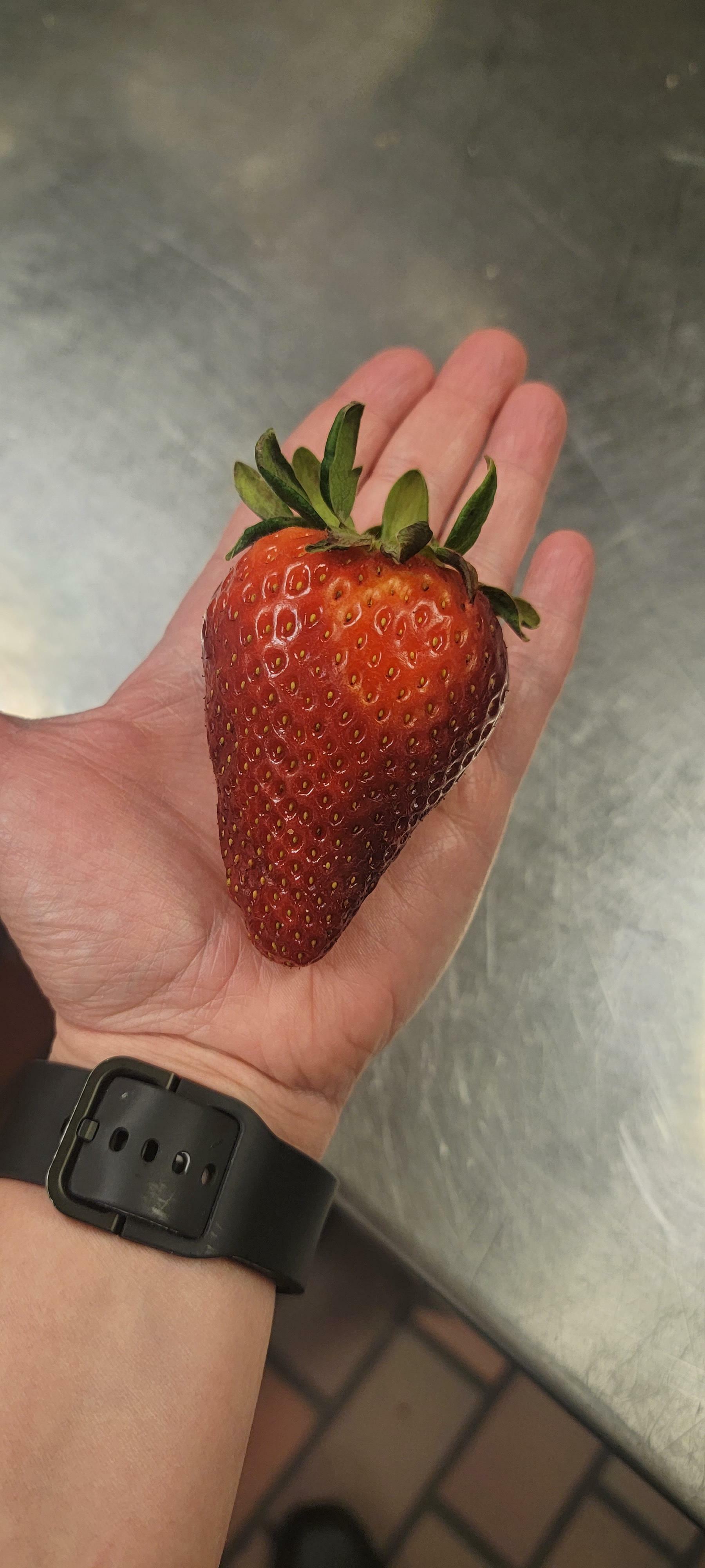 Avec cette seule fraise, je vais faire une tarte qui fera l'envie de tous.