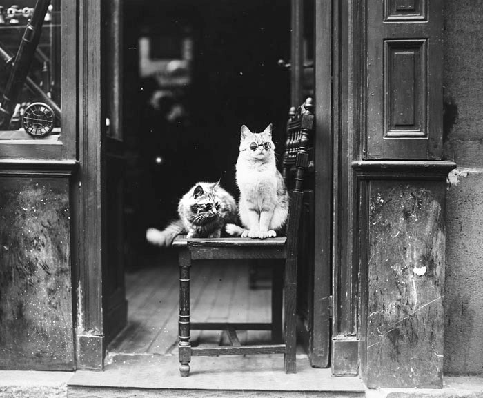 Publicité originale pour un opticien du boulevard Saint-Germain, 1925