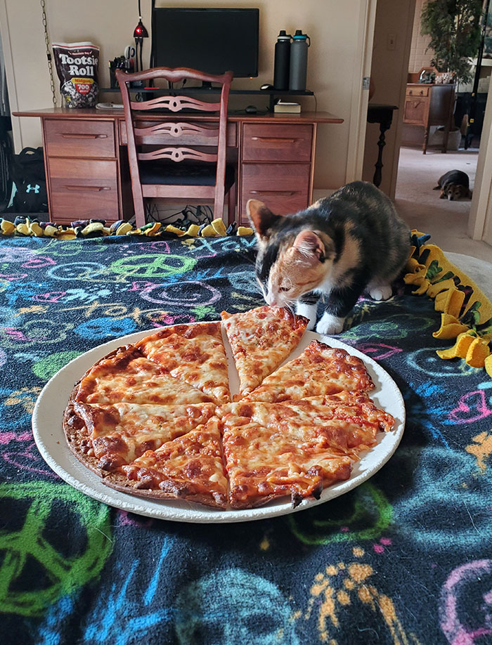 Je suppose que je partage ma pizza