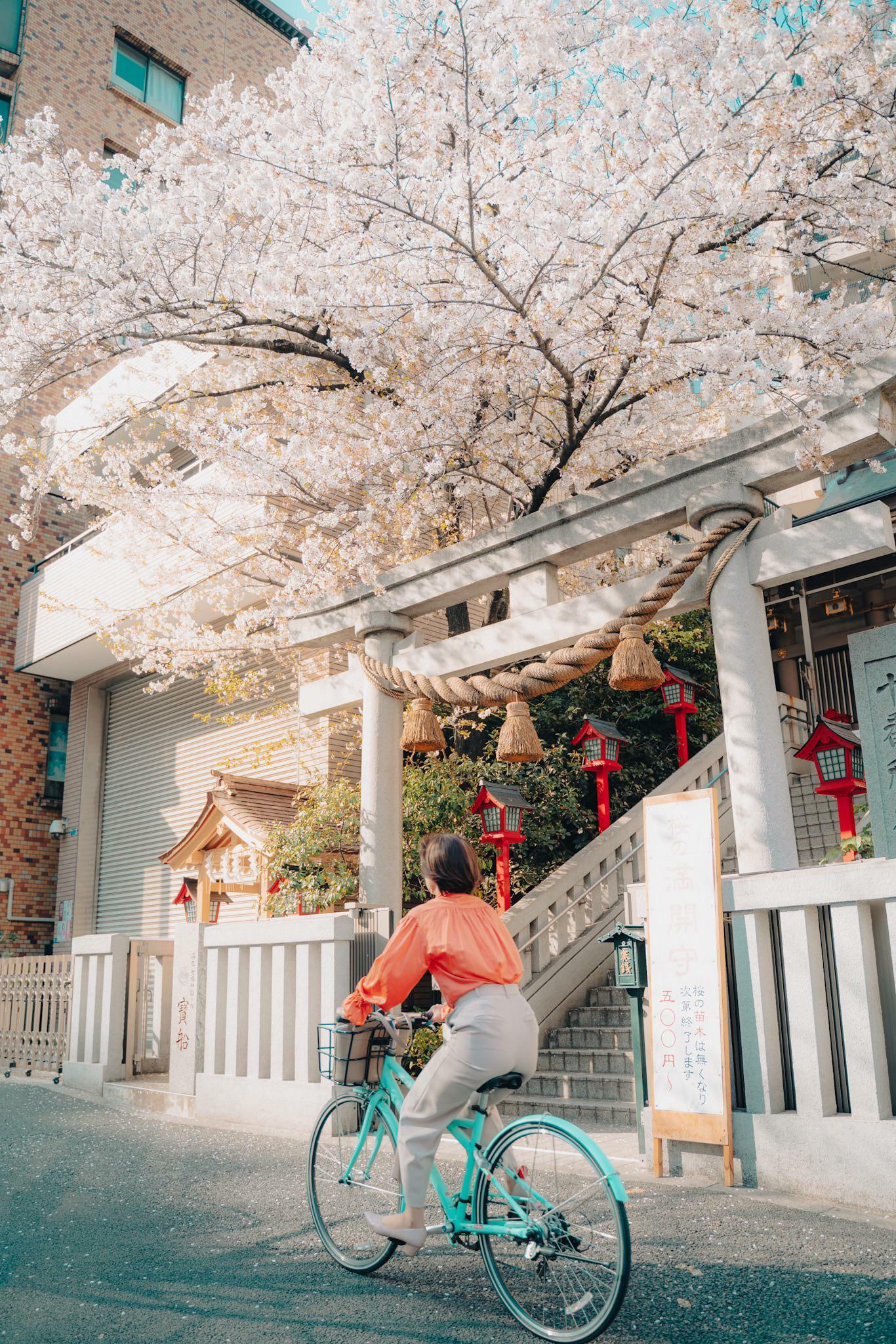 ITAP du printemps Tokyo