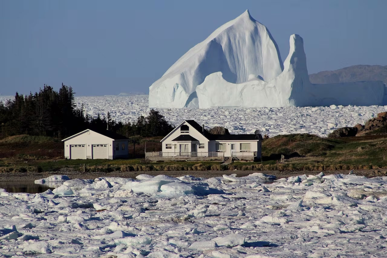 Allée des icebergs, Terre-Neuve