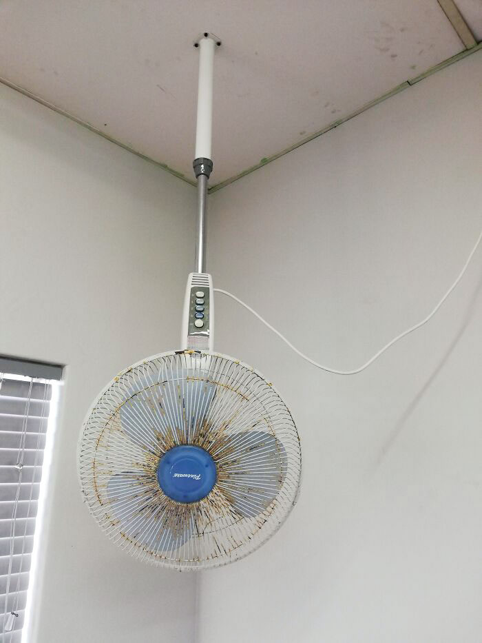 Mon école a un “ventilateur de plafond”, mais c’est un ventilateur ordinaire qu’ils ont cloué au plafond.