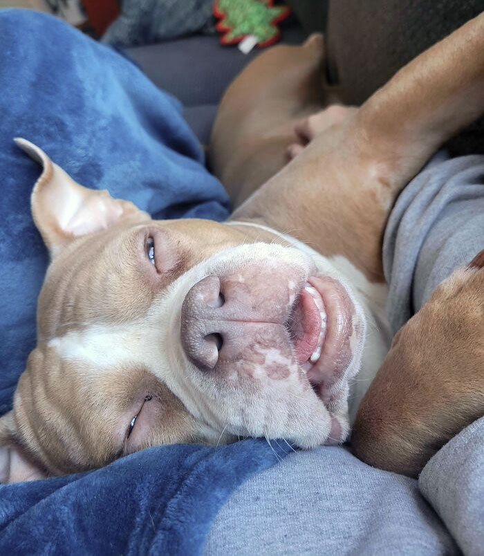 Son visage de sieste de l’après-midi me fait peur