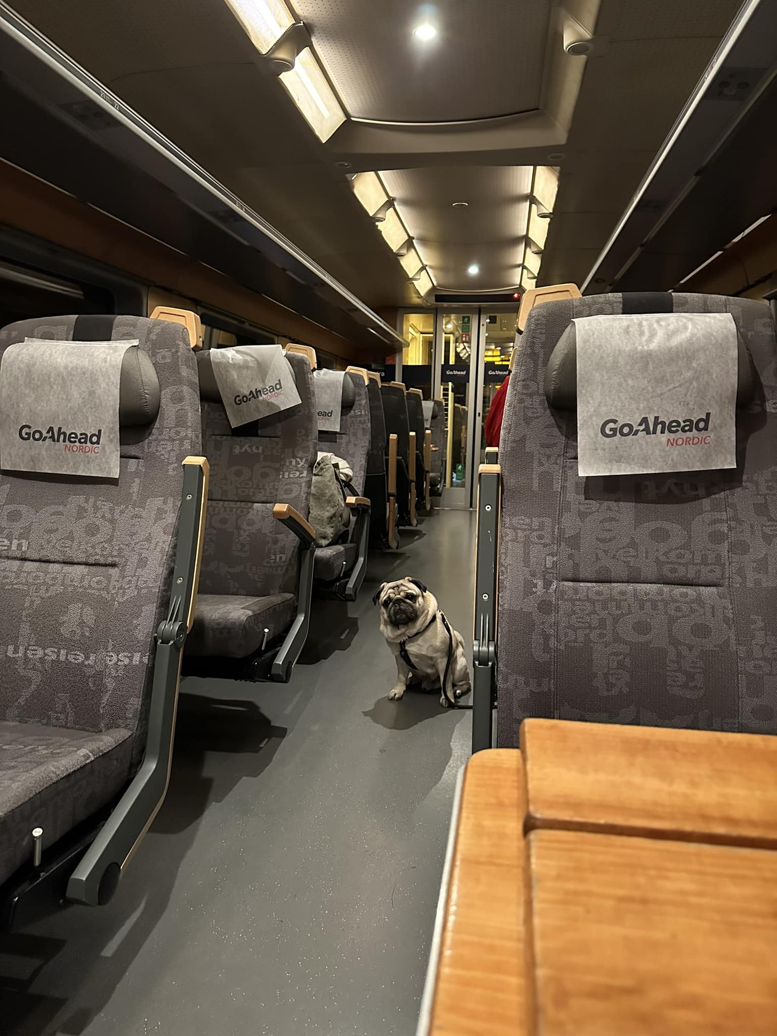 Dans le train d’Oslo à Stavanger, Norvège. Il sait que j’ai des collations