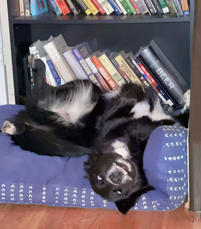 Elle nous fait peur quand elle décide de faire la sieste comme ça.