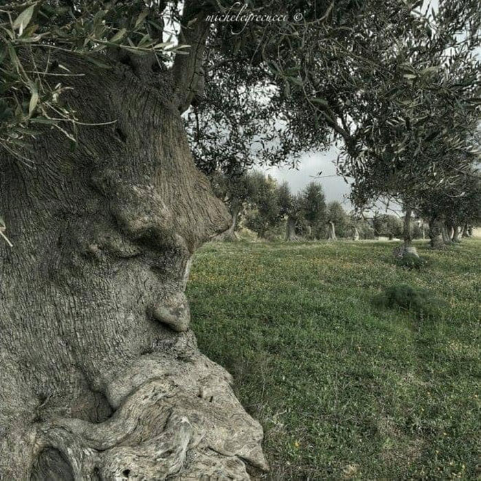 “Des choses avec des visages” : 60 cas amusants et surprenants de paréidolie partagés dans ce groupe (nouvelles photos)