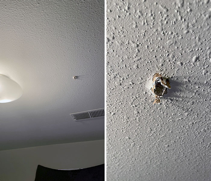 Le petit ami de la voisine qui habite au-dessus de chez nous a accidentellement déchargé une arme à feu à travers le plafond de notre chambre.