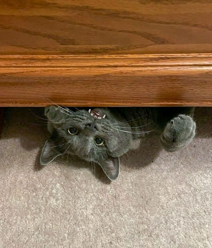 Il y a un monstre sous mon lit