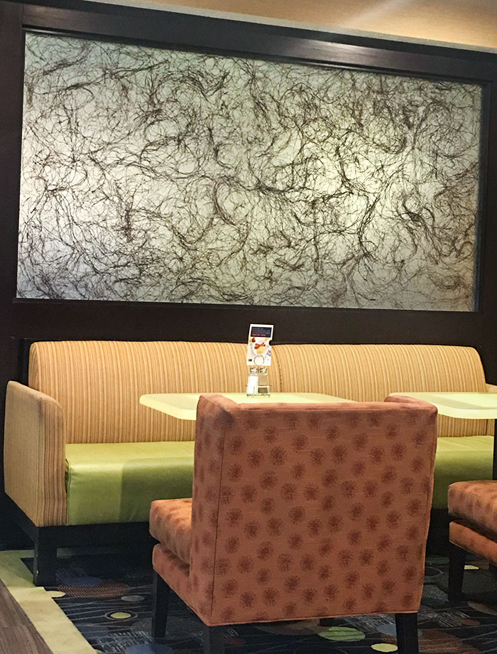 Cette image dans le hall d’entrée de l’hôtel ressemble à des poils pubiens.