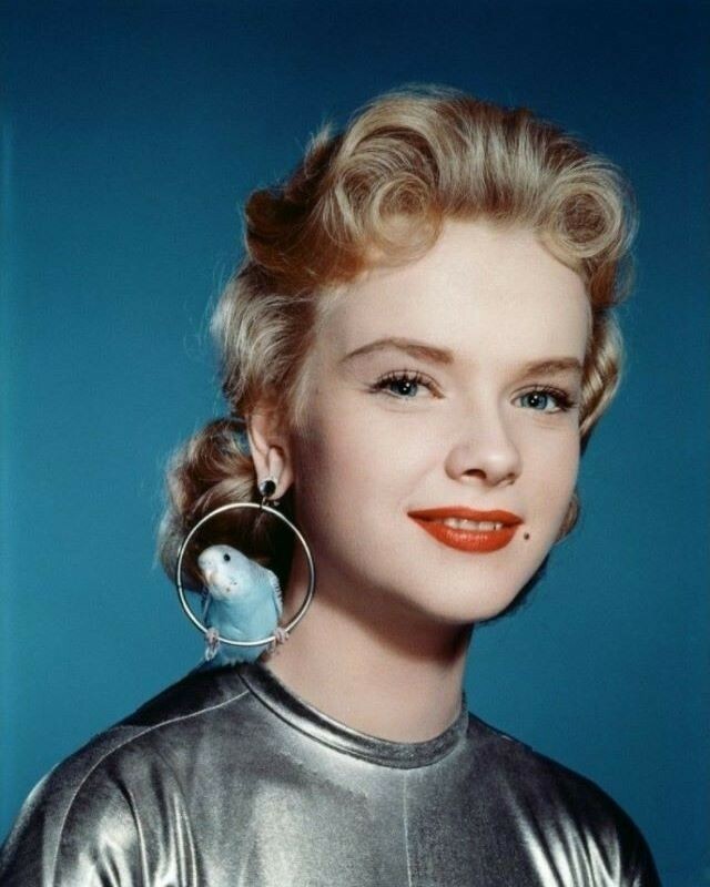 Anne Francis porte des boucles d’oreilles de volière avec de vraies perruches dans « Planète interdite » (1956)