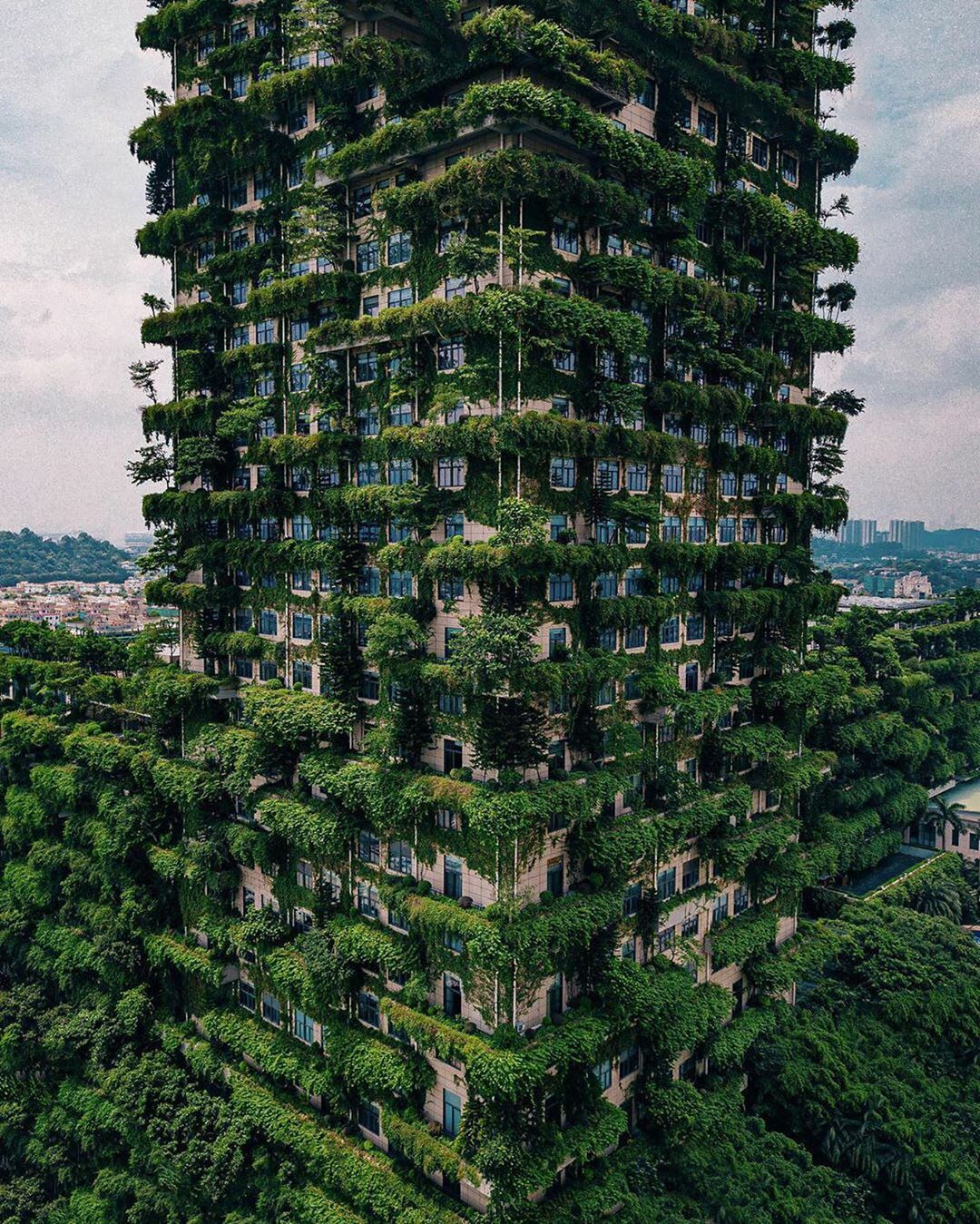 Cette forêt verticale à Foshan, en Chine. Ce bâtiment est enrichi d’une végétation luxuriante qui lutte contre la pollution de l’air en absorbant le CO2 et en produisant de l’oxygène.