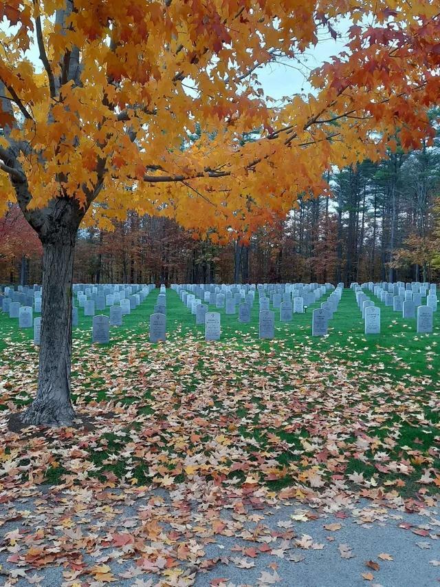 Une photo de cimetière ressemble à deux images assemblées.