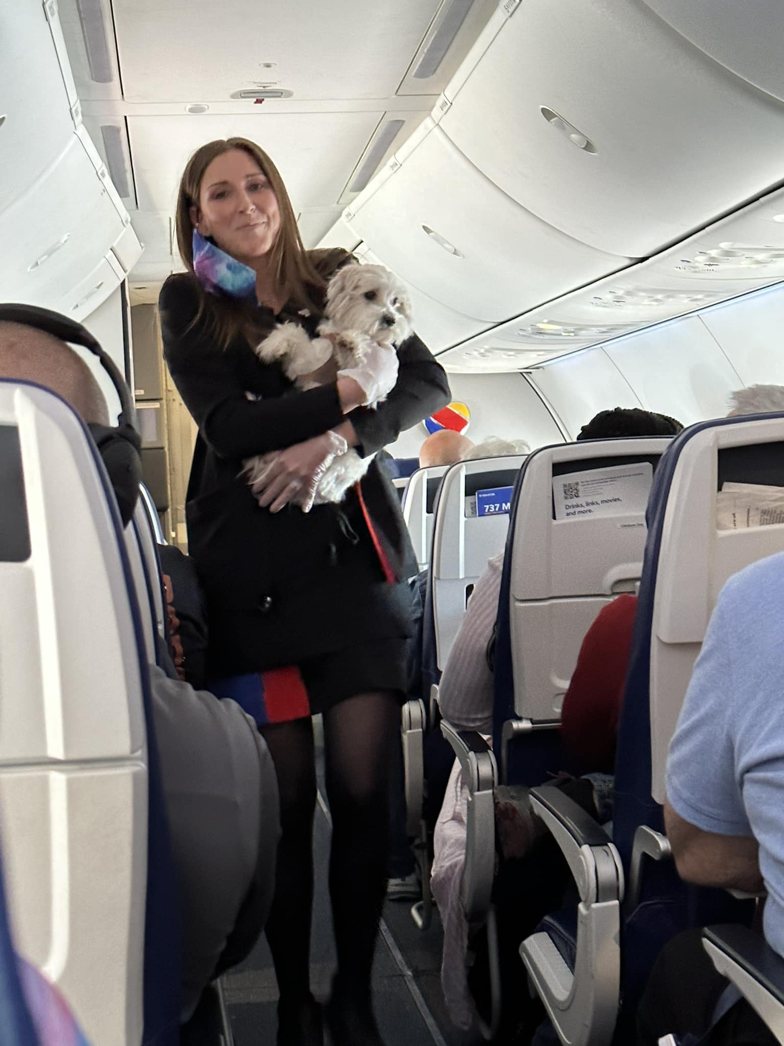 Annonce sur un vol Southwest : « Euh, il semble que quelqu’un ait perdu un chien », suivie par cette hôtesse de l’air et son ami.