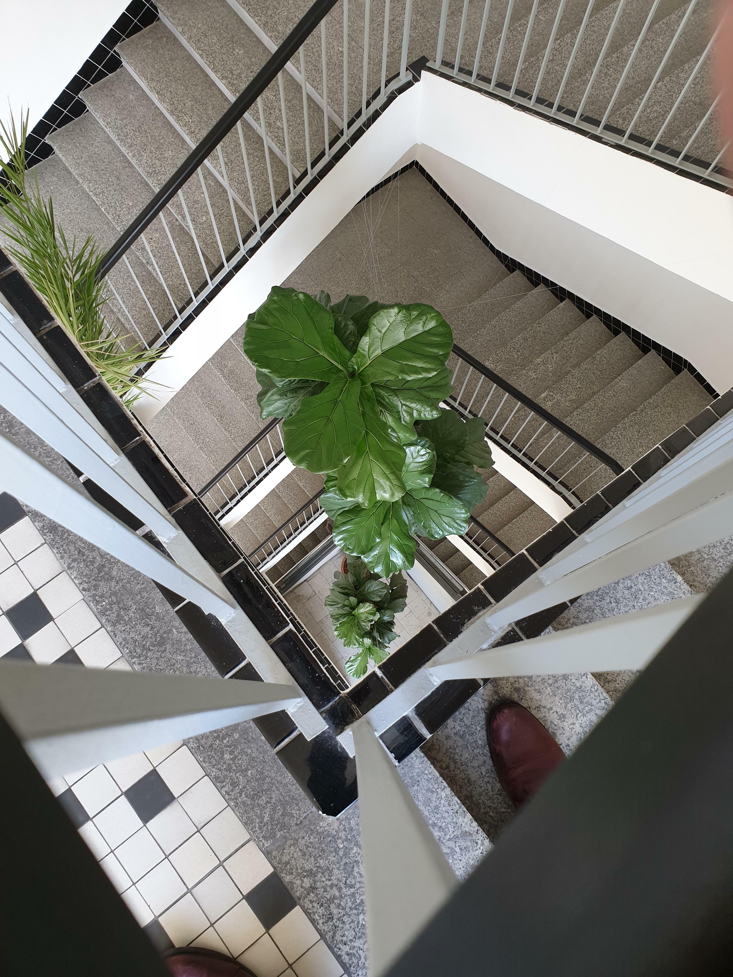La plante de notre bureau est haute de 4 étages