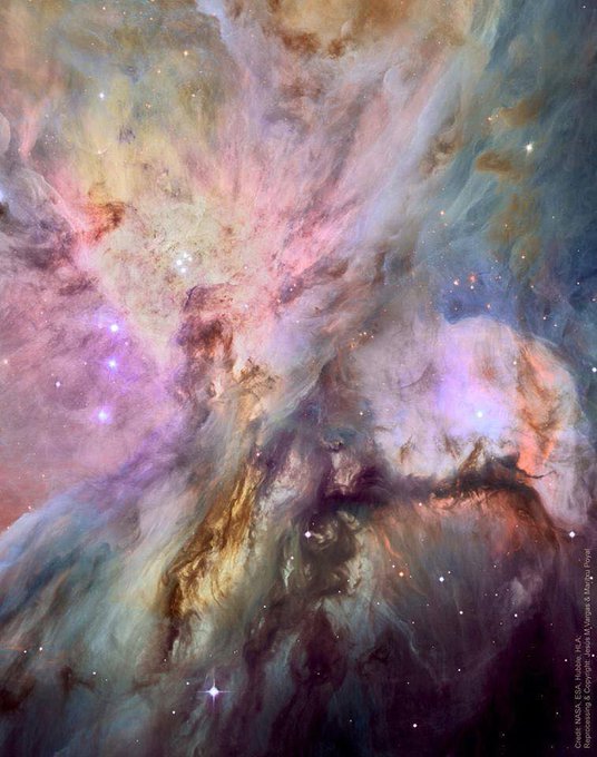 Image astronomique du jour : La nébuleuse d’Orion