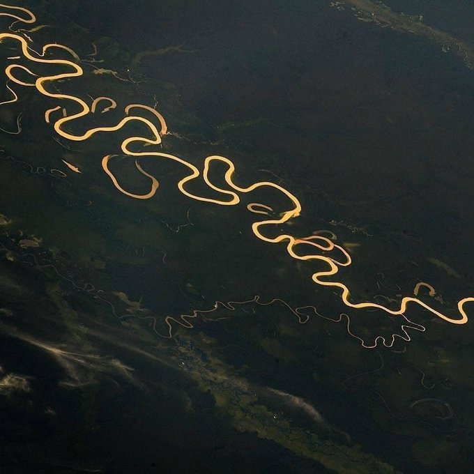 Le fleuve Amazone vu de l’espace