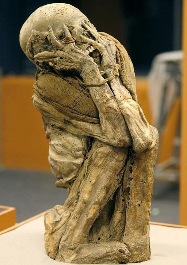 Cette momie du 15e siècle a été trouvée dans une forêt tropicale.