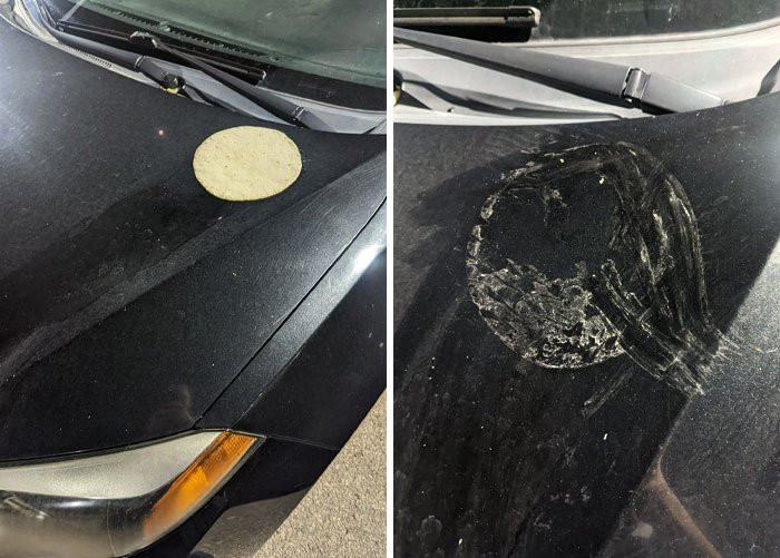 Quelqu’un a mis une tortilla sur le capot de ma voiture. Elle a cuit à cause de la chaleur élevée. Je vais maintenant devoir la nettoyer en sortant du travail.
