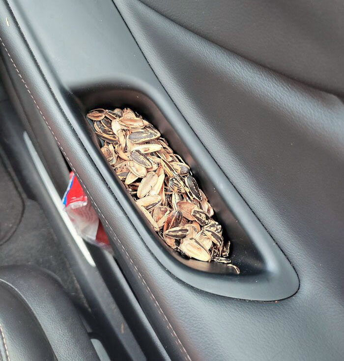 Ma femme crache ses coquilles de graines sur la poignée de porte de notre voiture et les y laisse.
