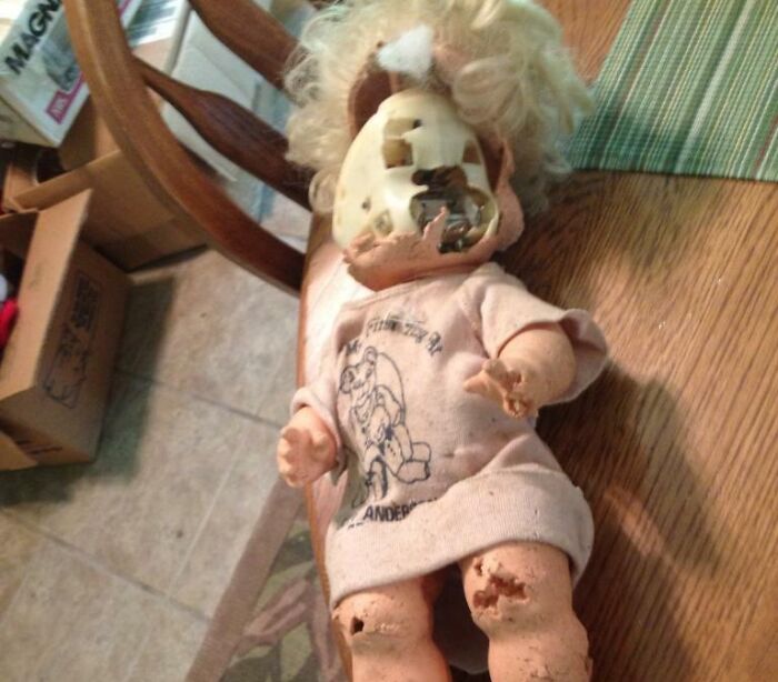 Nous avons trouvé une poupée vieille de 20 ans dans notre grenier.