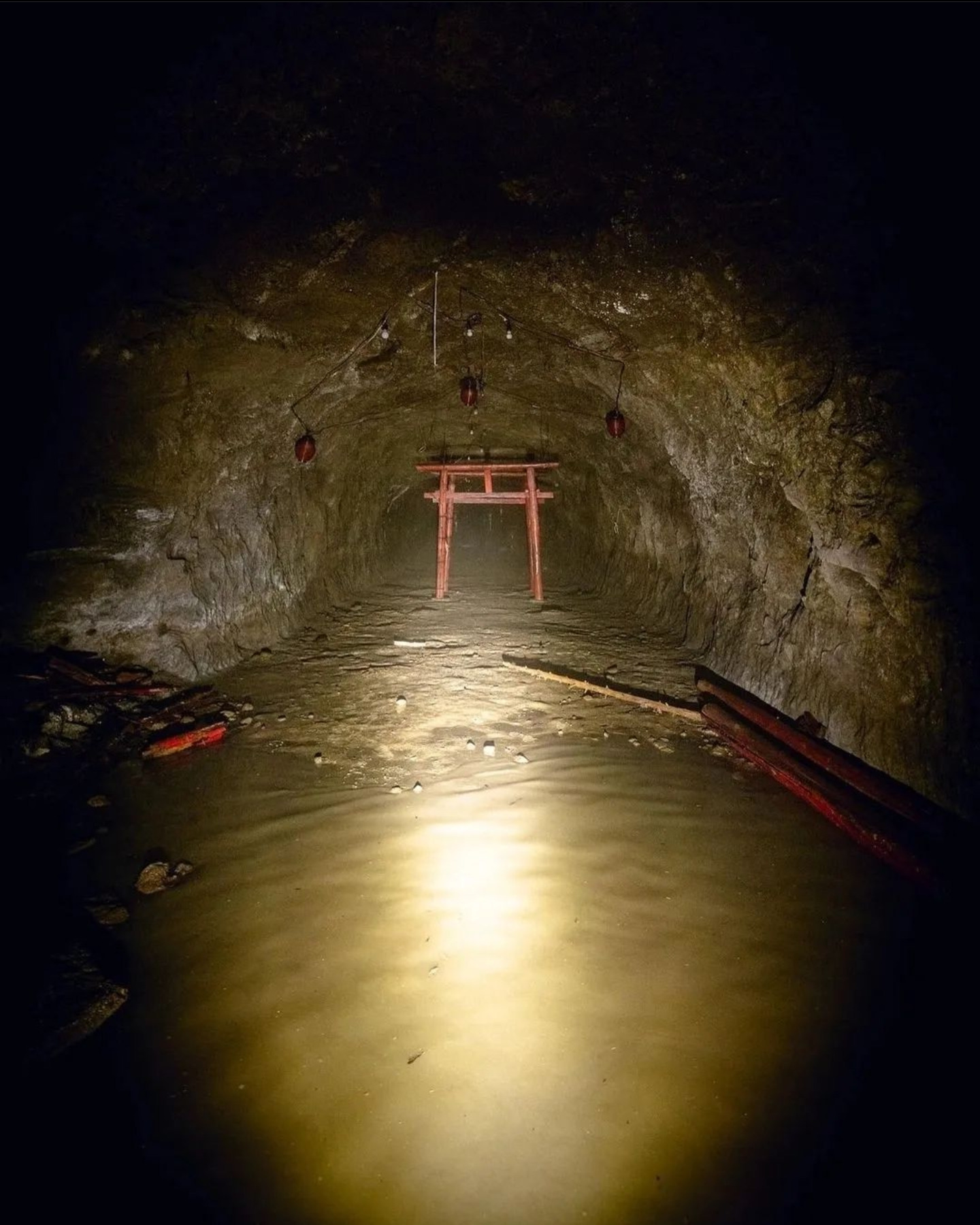 Une porte de Tori abandonnée a été trouvée au bout d’un tunnel submergé au Japon.