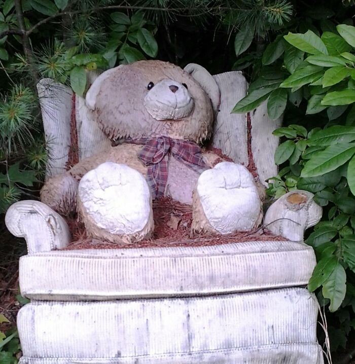 Tu as trouvé cet ours effrayant au milieu des bois.